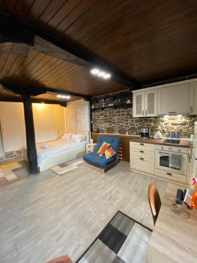 Vila Studio Spring Veliko Tarnovo Exteriér fotografie