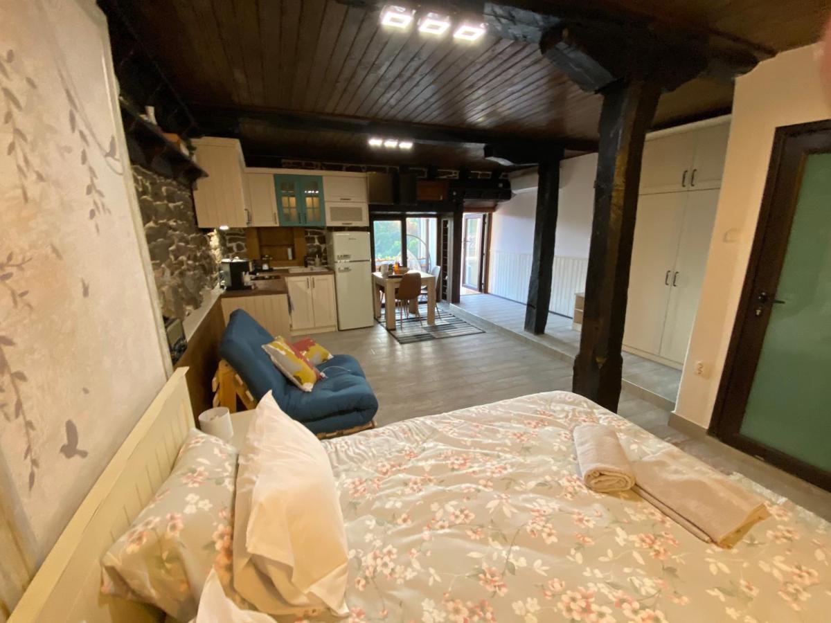 Vila Studio Spring Veliko Tarnovo Exteriér fotografie